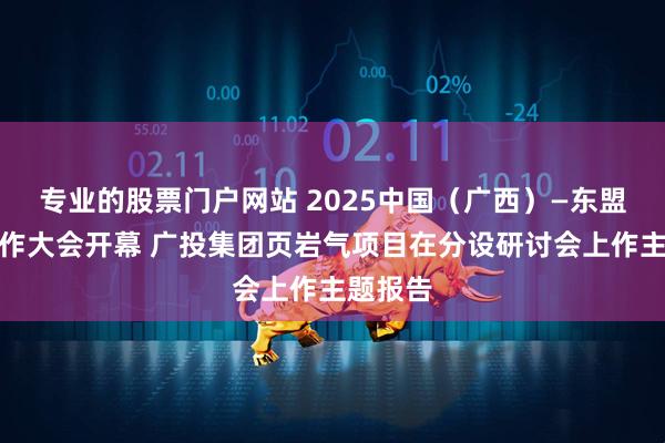 专业的股票门户网站 2025中国（广西）—东盟矿业合作大会开幕 广投集团页岩气项目在分设研讨会上作主题报告