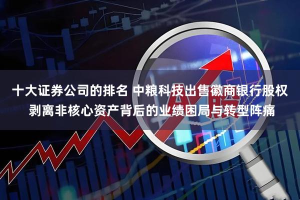十大证券公司的排名 中粮科技出售徽商银行股权 剥离非核心资产背后的业绩困局与转型阵痛